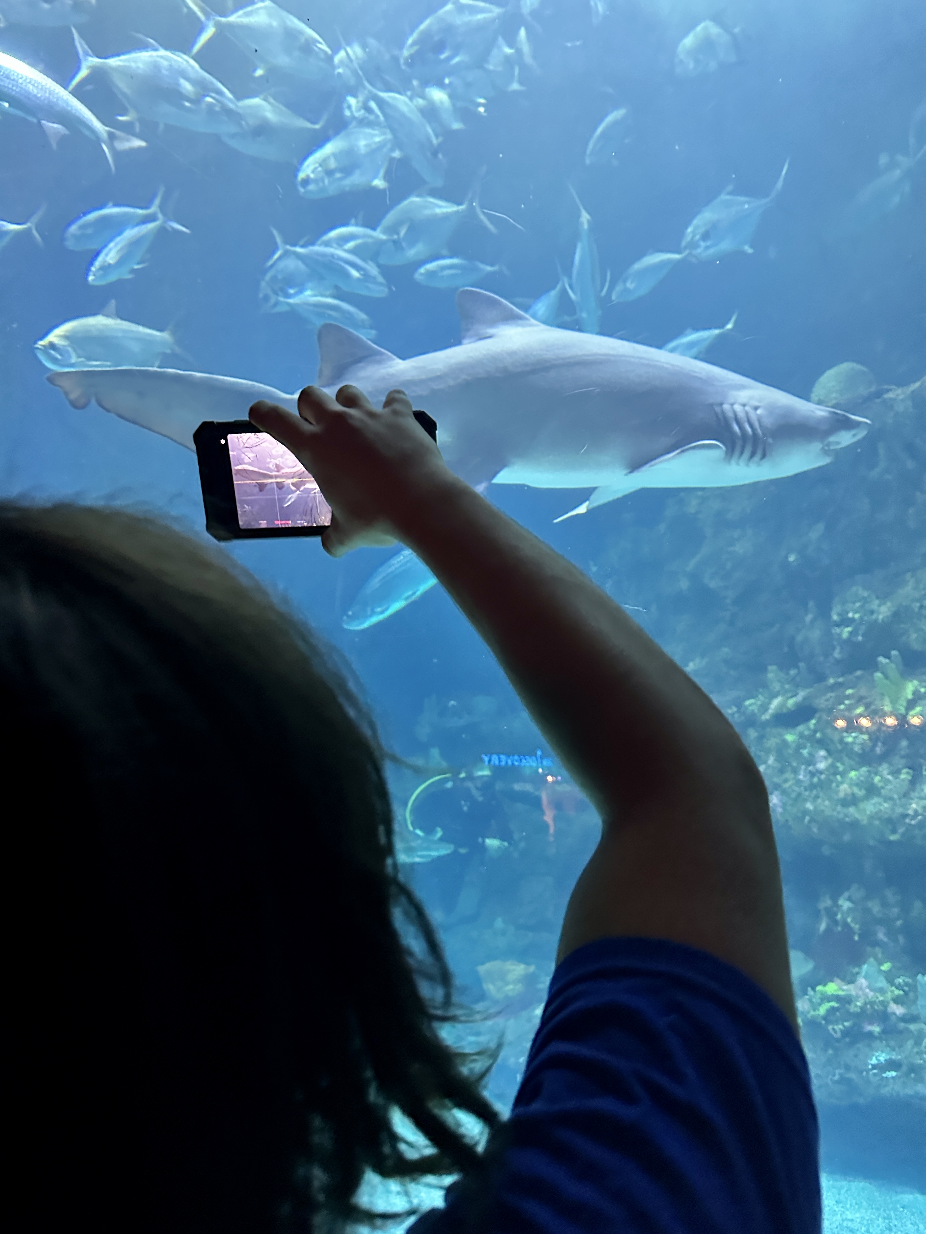 Aquarium